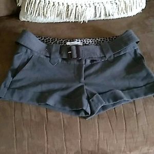 Classy shorts